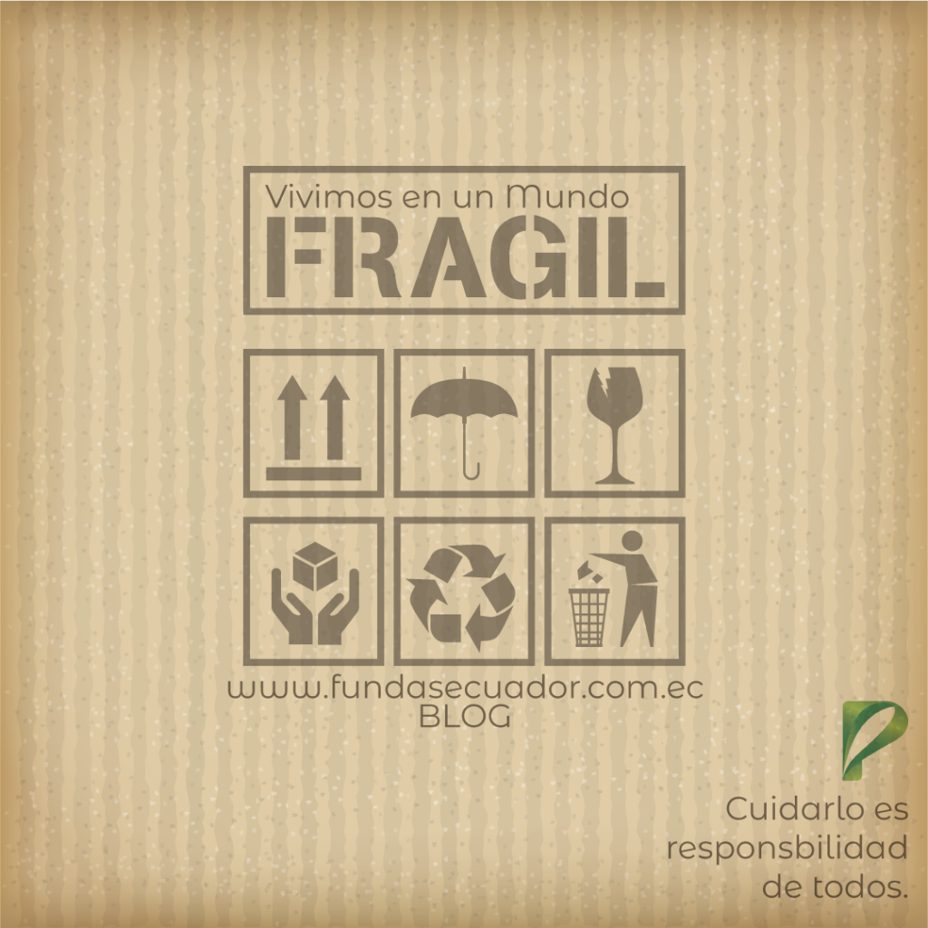 Empaques Eco Sustentables